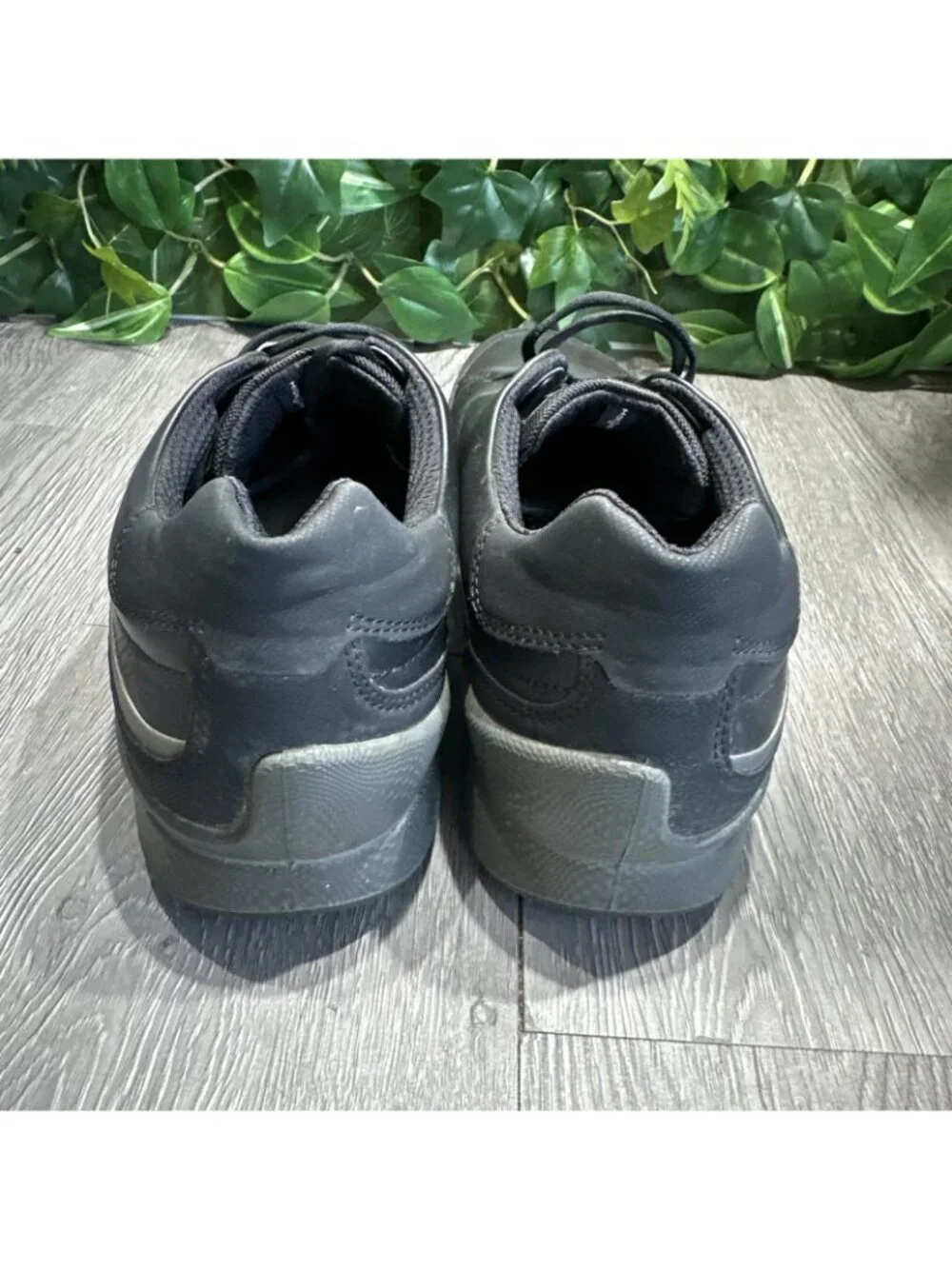 Ecco please check
